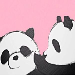 Meet your Posher, Ash-lee